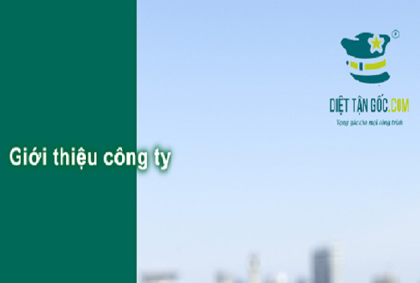 Giới thiệu về công ty