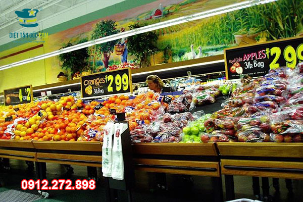 Dịch vụ xử lý côn trùng cho siêu thị, trung tâm thương mại