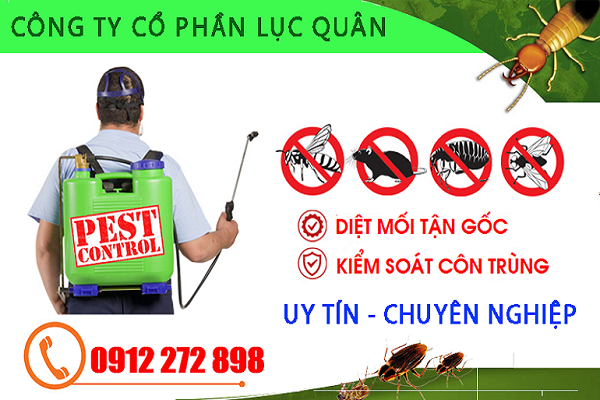 Mối chúa hoạt động và sinh đẻ như thế nào ?