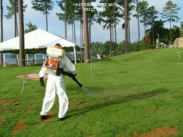 Bốn loại thuốc diệt muỗi tốt nhất hiện nay trên thị trường