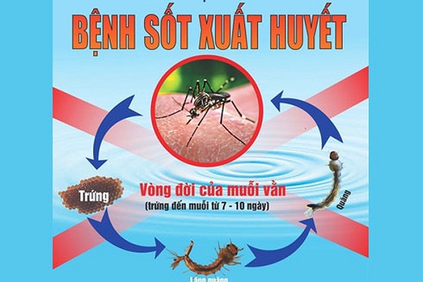 Những Cách phòng tránh bệnh sốt xuất huyết tốt nhât bạn cần biết.
