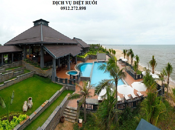 Dịch vụ diệt ruồi cho nhà hàng, khách sạn
