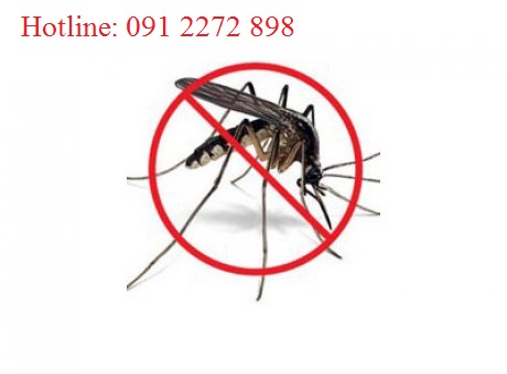 Loại thuốc Phun diệt muỗi nào An toàn tuyệt đối cho Trẻ nhỏ và Phụ nữ mang bầu ?