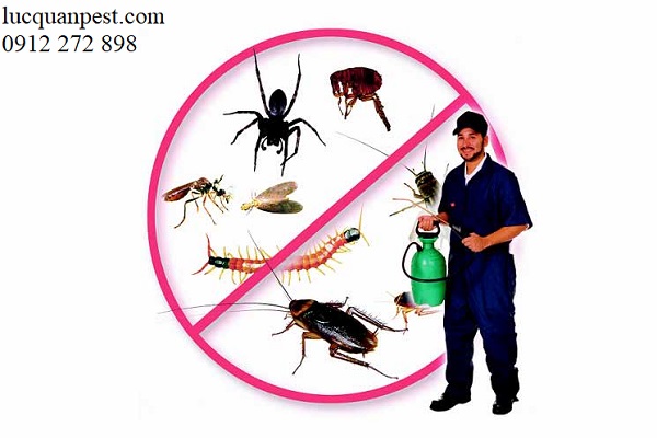 Báo giá Dịch vụ Diệt Côn trùng cho Nhà hàng, khách sạn năm 2019