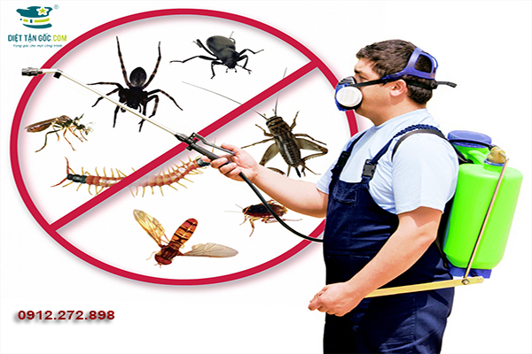 Dịch vụ xử lý côn trùng cho siêu thị, trung tâm thương mại