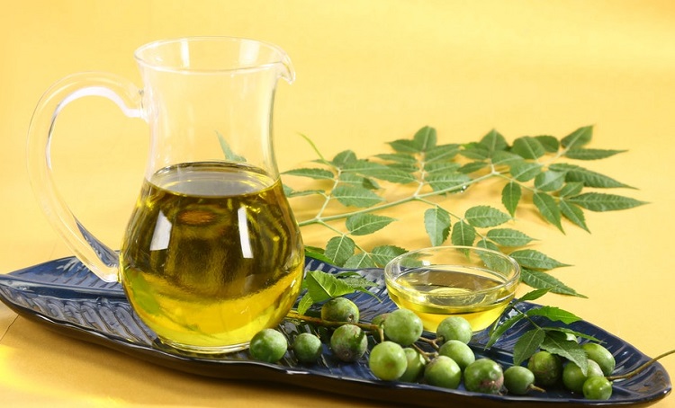 diệt mối tại nhà bằng tinh dầu Neem