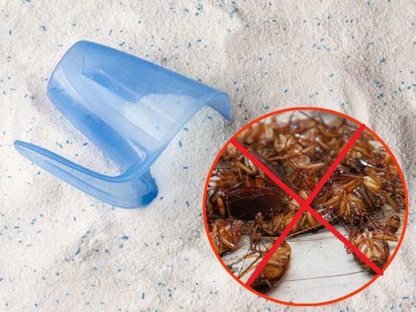 cach diet gian bang bot giat