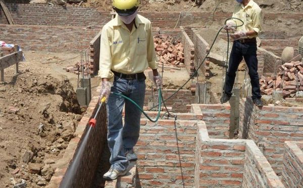 phòng chống mối trước khi xây nhà