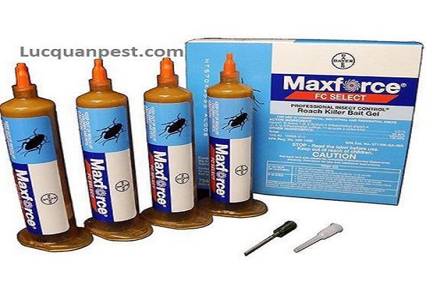 Tổng hợp các Loại thuốc Diệt Gián tốt nhất năm 2019