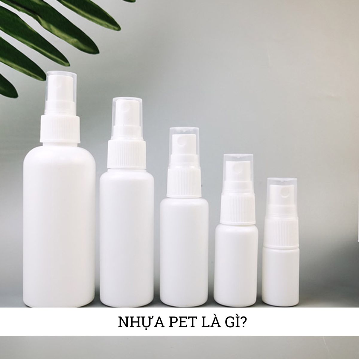 Khái niệm nhựa PET là gì? Sử dụng nhựa PET có an toàn không?