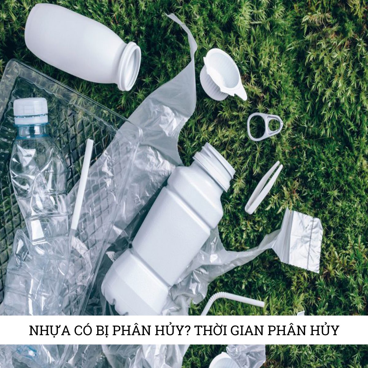 Chất liệu nhựa có bị phân hủy? Thời gian phân hủy mất bao lâu?