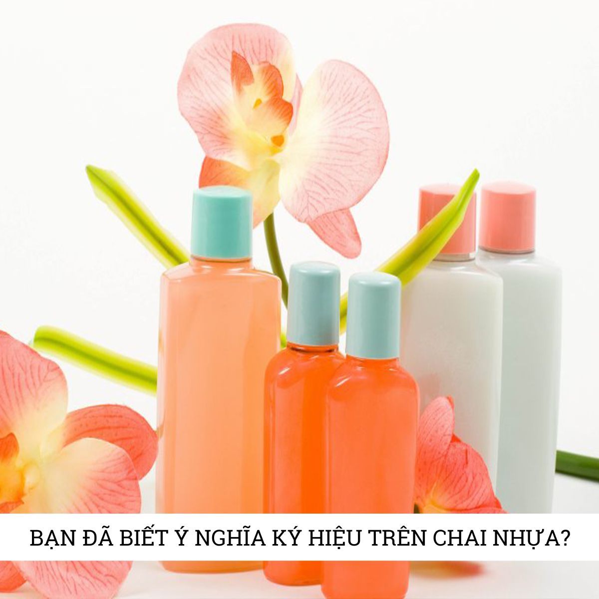 Ý nghĩa của các ký hiệu trên chai nhựa có thể bạn chưa biết?