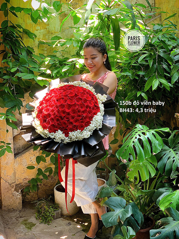 Red Ecu Roses 7