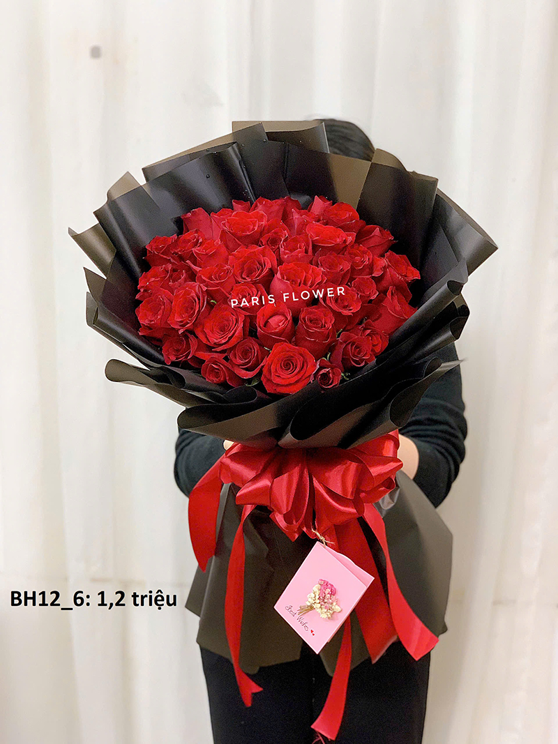 Red Ecu Roses 5