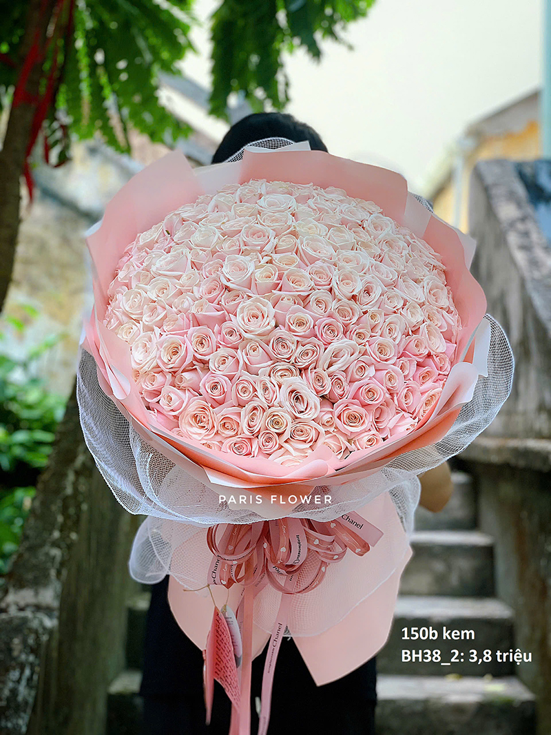 Giant Pink Roses