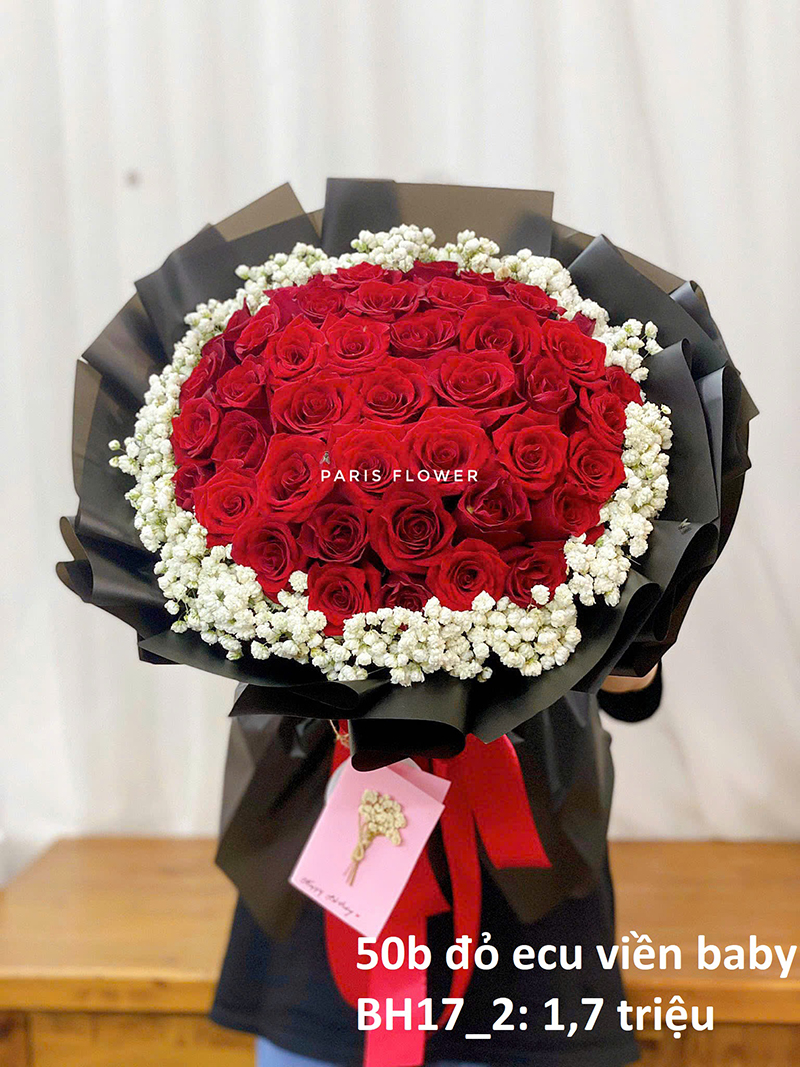 Red Ecu Roses 6