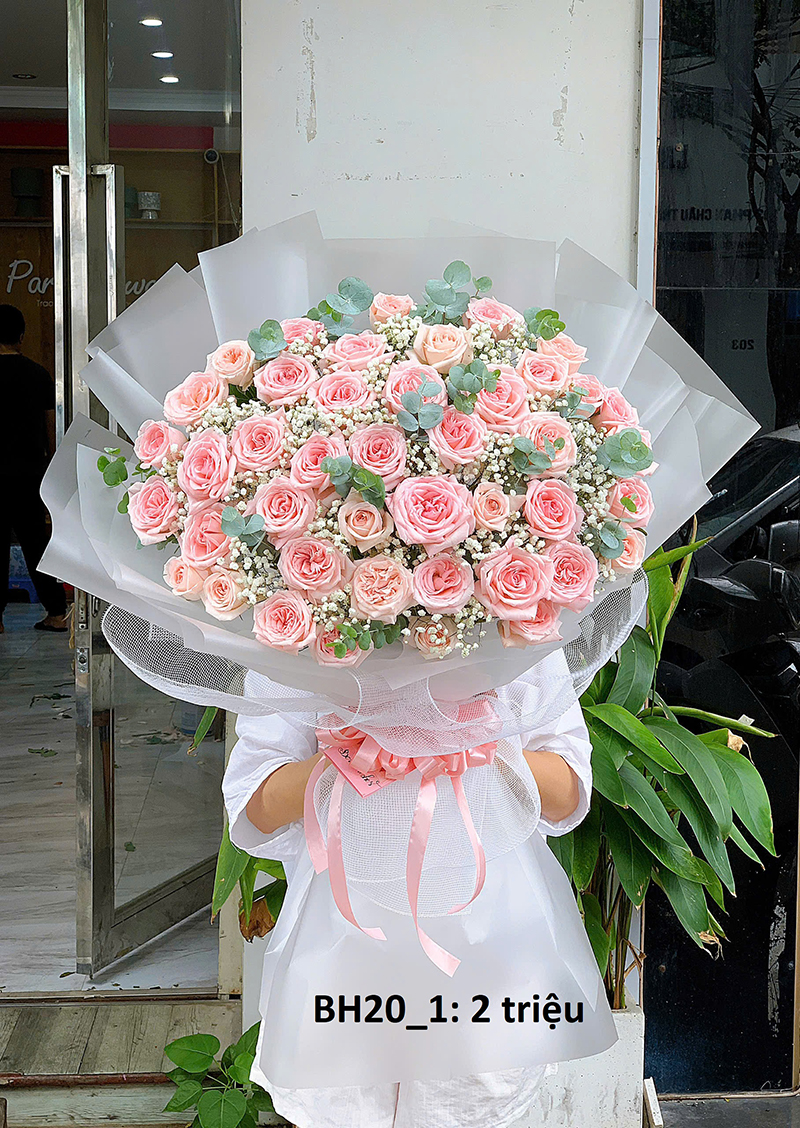 Little Ohara roses 3
