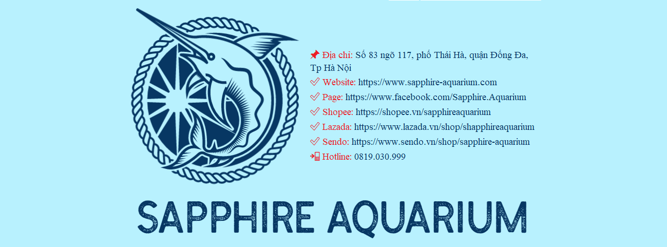 khai-truong-co-so-sapphire-aquarium-tai-khu-vuc-thai-ha-dong-da-ha-noi