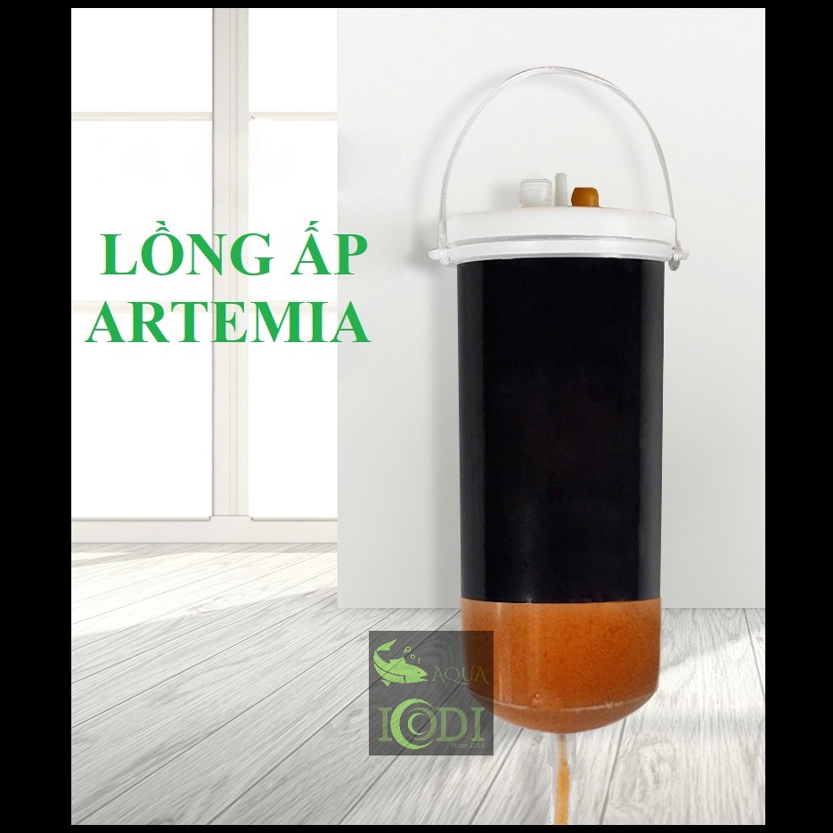 long-ap-artemia