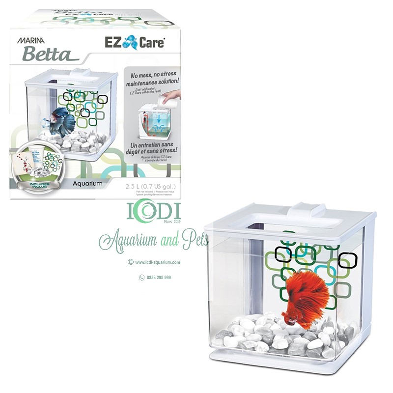 Ez care sales aquarium kit