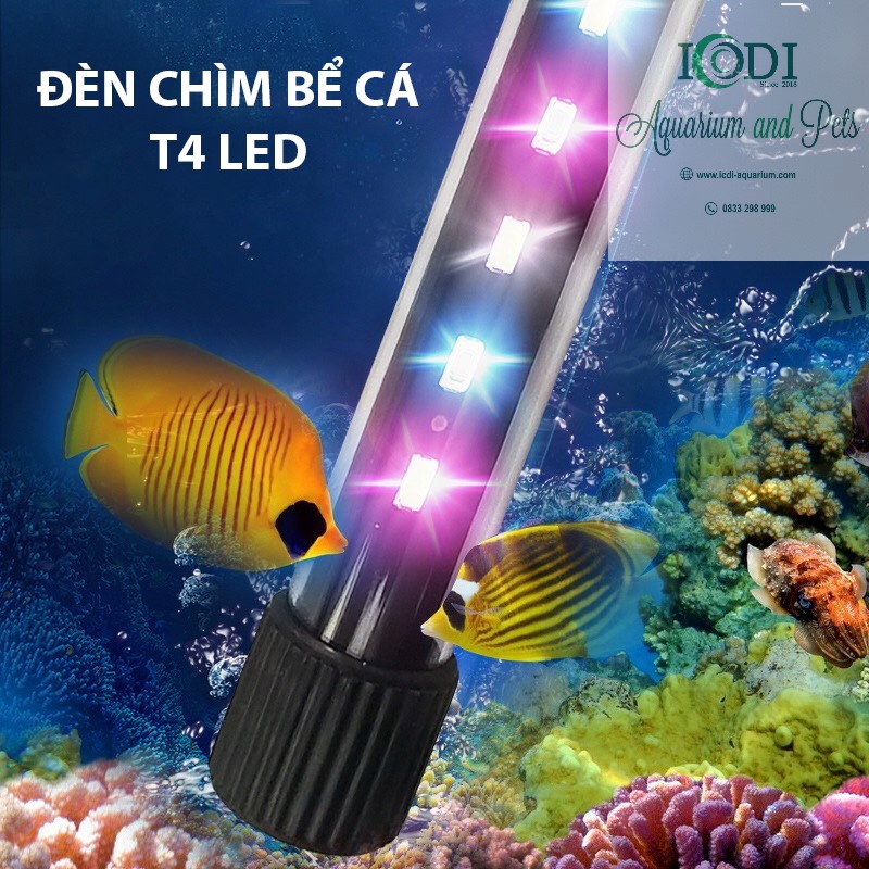 den-chim-be-ca-t4-led