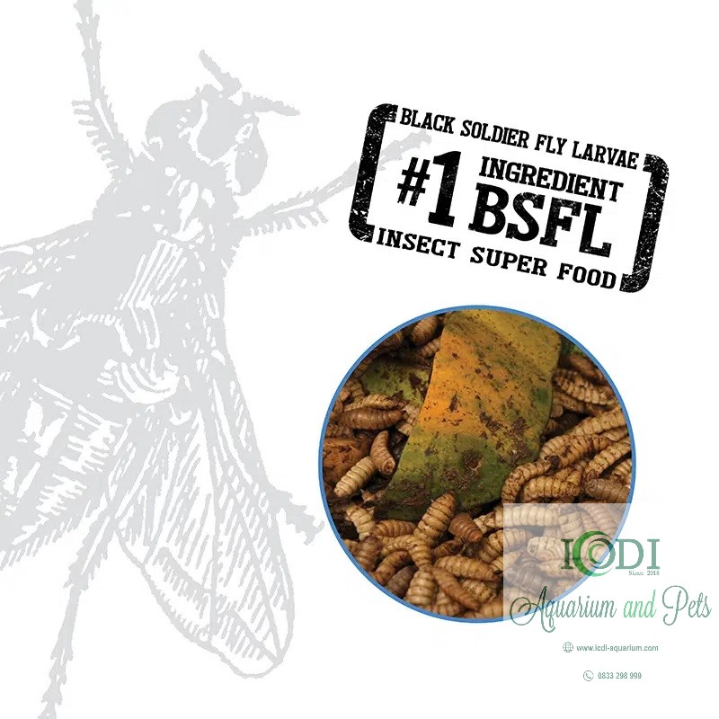 Thức Ăn Cho Cá Betta Fluval Bug Bites Betta Formula ICDI Aquarium