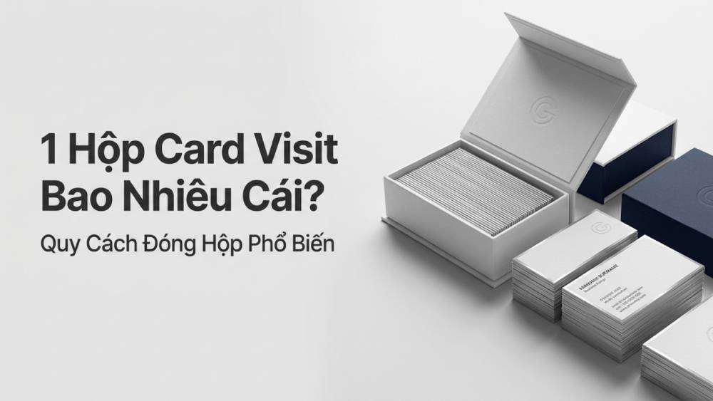 1 Hộp Card Visit Bao Nhiêu Cái? Quy Cách Đóng Hộp Phổ Biến