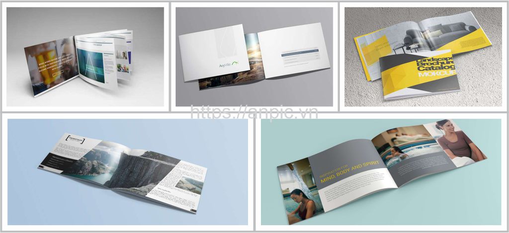 In nhanh, in gấp Profile chuyên nghiệp cho doanh nghiệp nhỏ