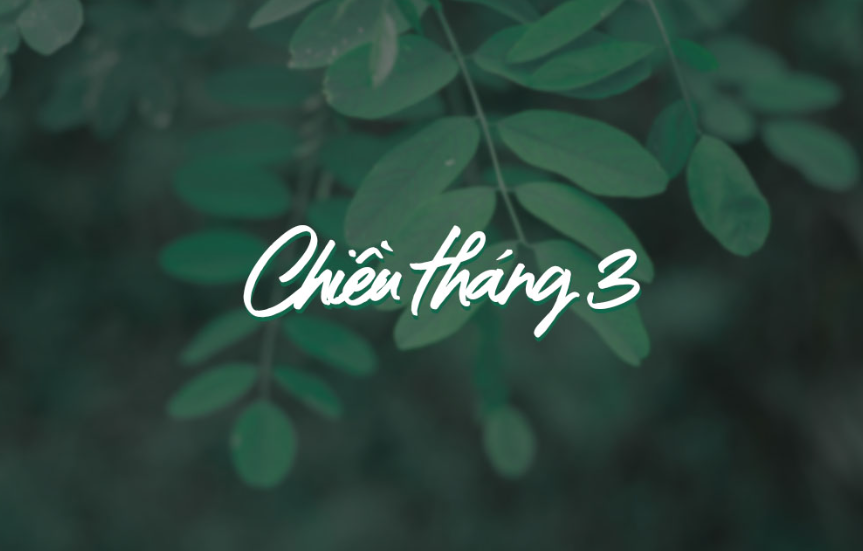 Link Download Miễn Phí Trọn Bộ Iciel Font Việt Hóa Full Mới Nhất 2025