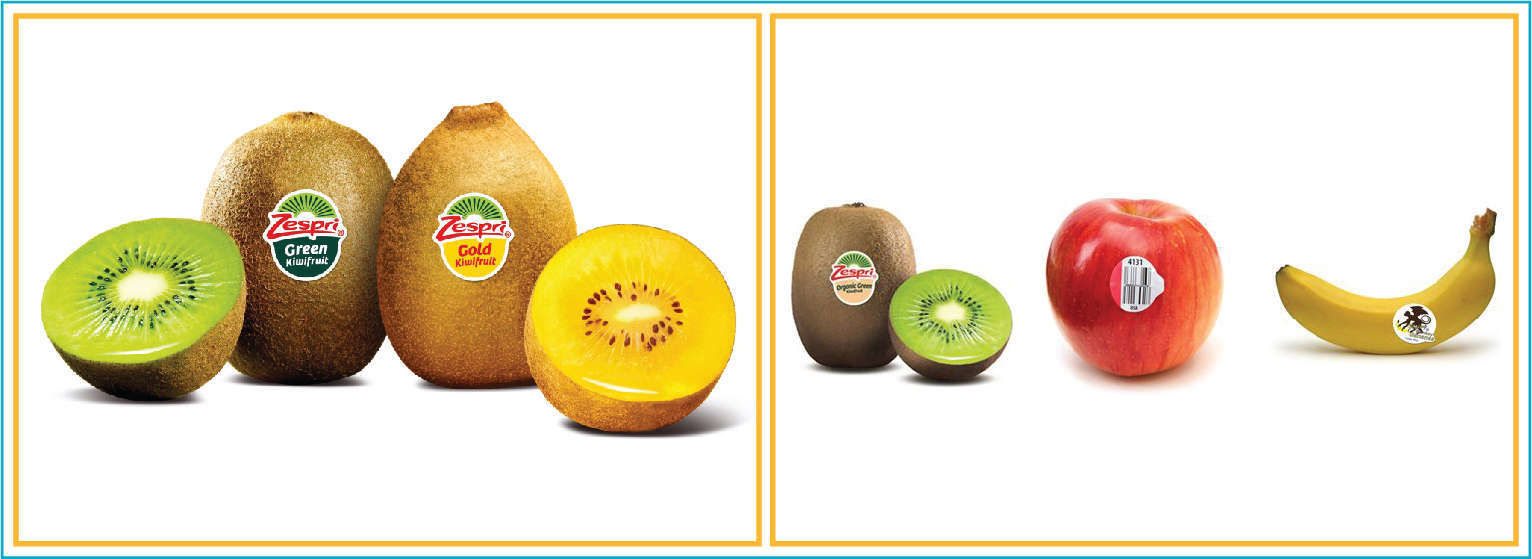 Combo In Ấn Độc Nhất Vô Nhị Cho Các Loại Hoa Quả Tươi