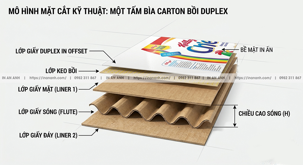 Hộp Carton Sóng Bồi Duplex Là Gì? Vì Sao Vừa Đẹp Vừa Chắc Để Đóng Sản Phẩm