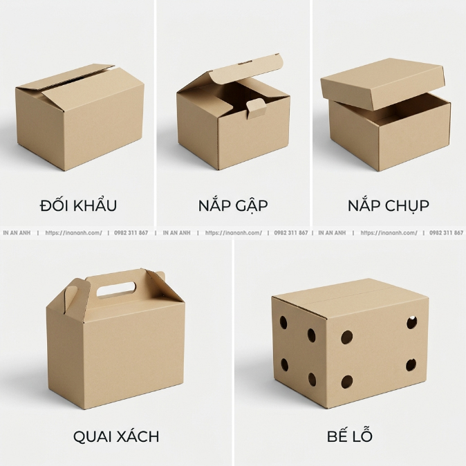 Các Kiểu Dáng Hộp Carton Phổ Biến: Đối Khẩu, Nắp Gập, Nắp Chụp, Quai Xách, Bế Lỗ