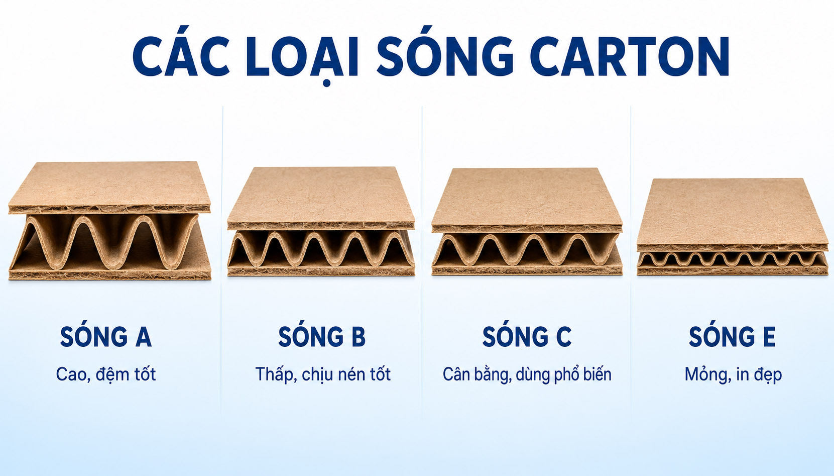 Các Loại Sóng Carton A, B, C, E