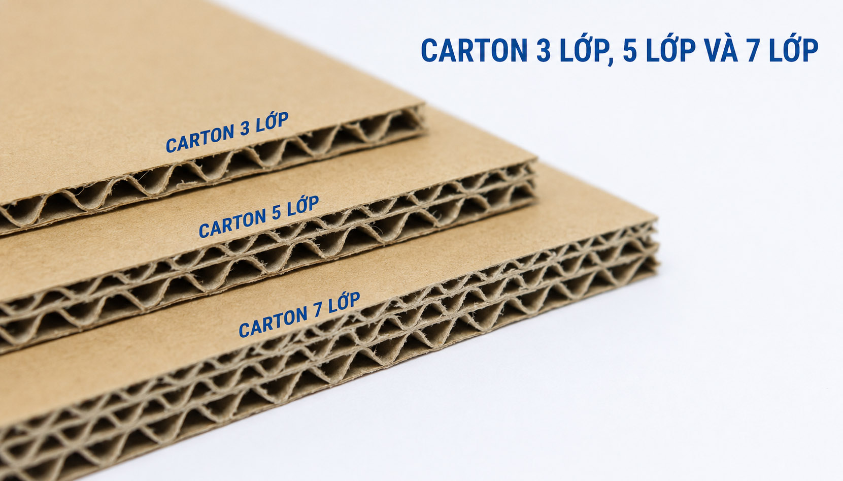 Carton 3 Lớp, 5 Lớp Và 7 Lớp