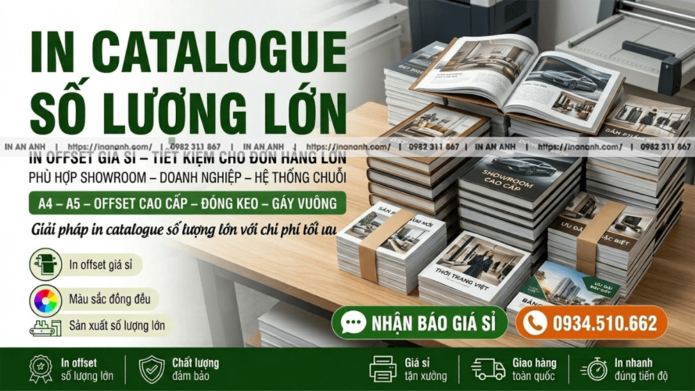In Catalogue Số Lượng Lớn - In Offset Giá Sỉ, Tiết Kiệm Cho Đơn Hàng Lớn