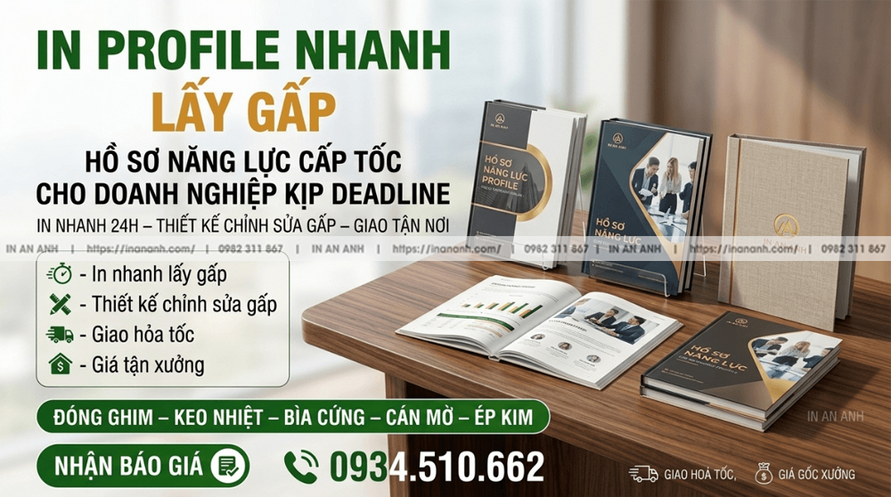 In Hồ Sơ Năng Lực Cấp Tốc Kịp Deadline