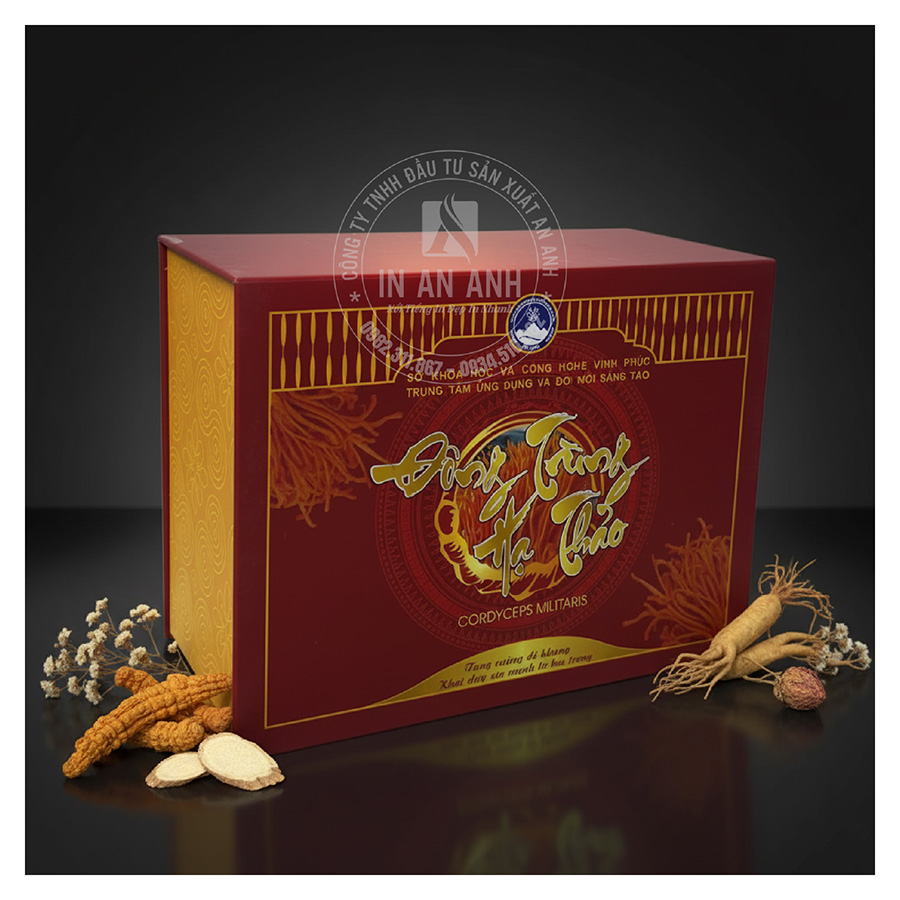 In hộp giấy đựng đông trùng hạ thảo