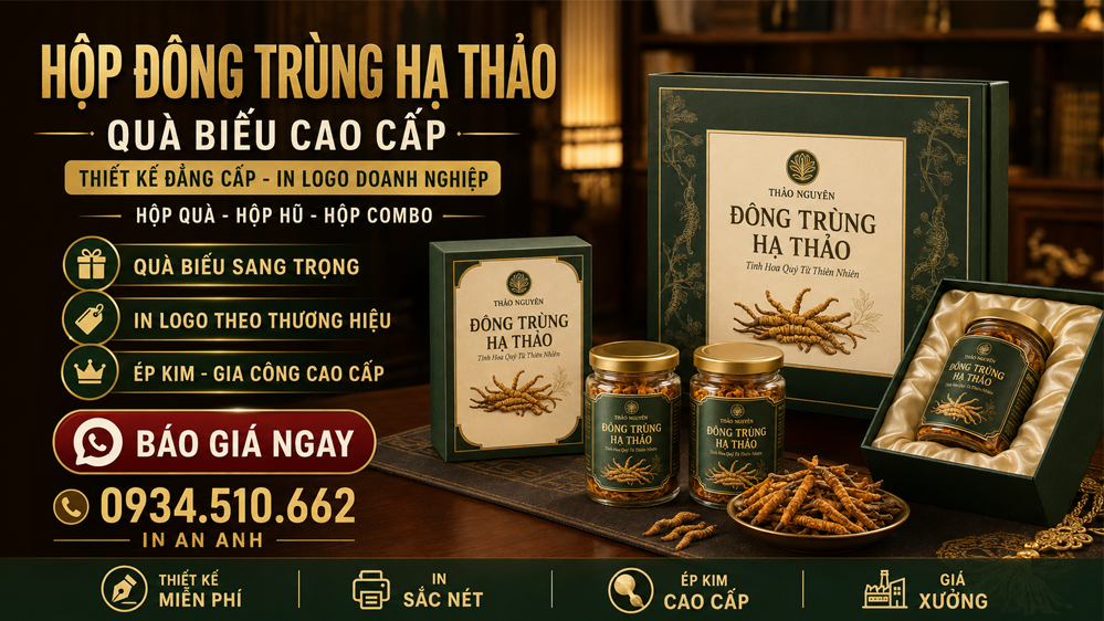in hộp nấm linh chi đẹp sắc nét