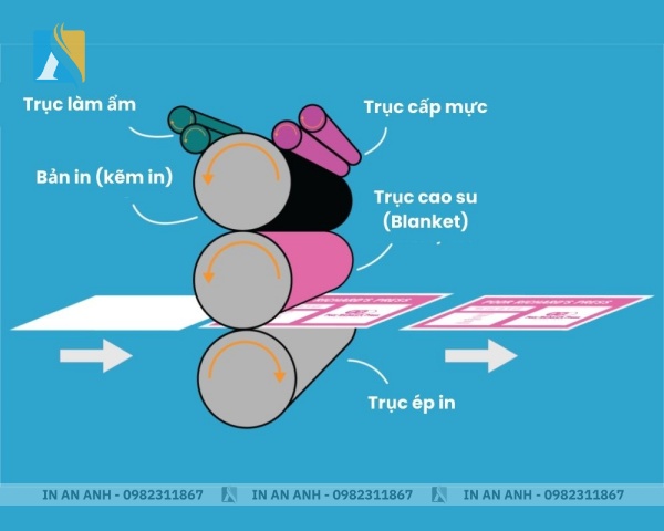 Chi tiết quy trình in offset từ cấp mực, truyền hình ảnh, đến in ra giấy.