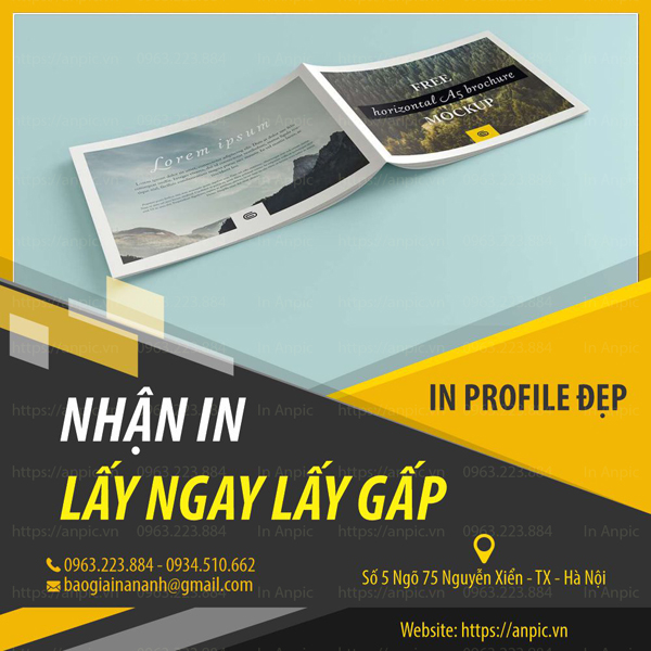 In profile đẹp lấy ngay lấy gấp