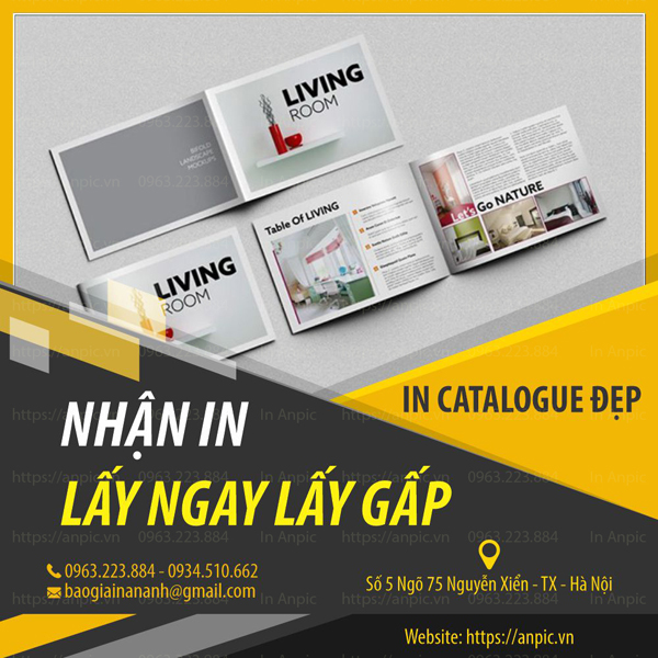 In catalogue lấy ngay lấy gấp tại Anpic