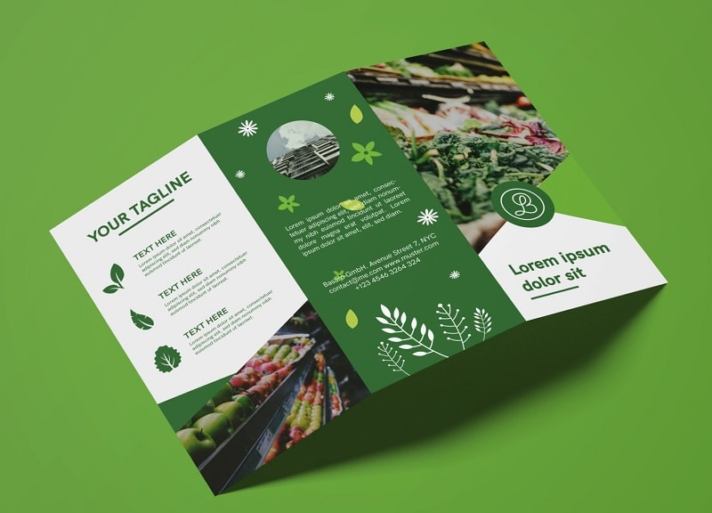 Tiêu đề Leaflet ấn tượng