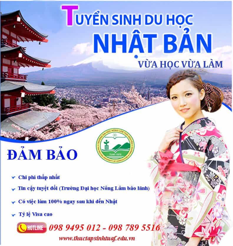 Mẫu in tờ rơi tuyển sinh du học Nhật Bản 