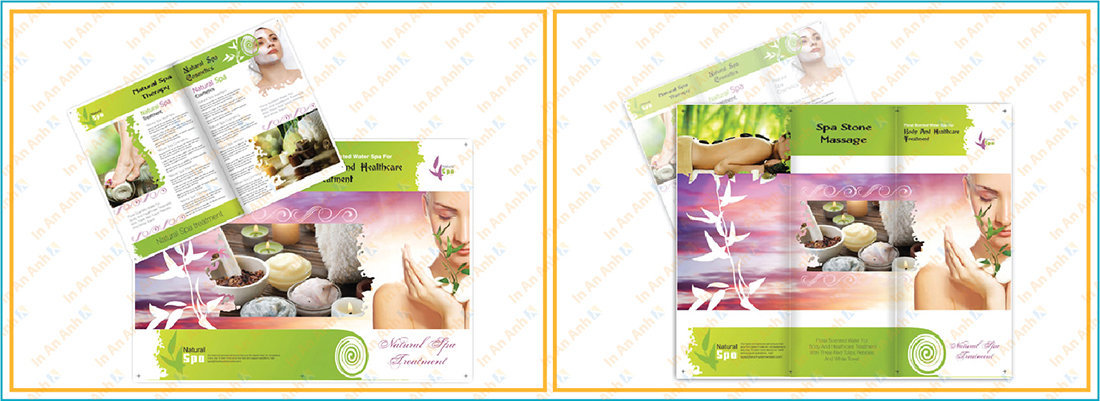 mẫu thiết kế brochure spa sáng tạo