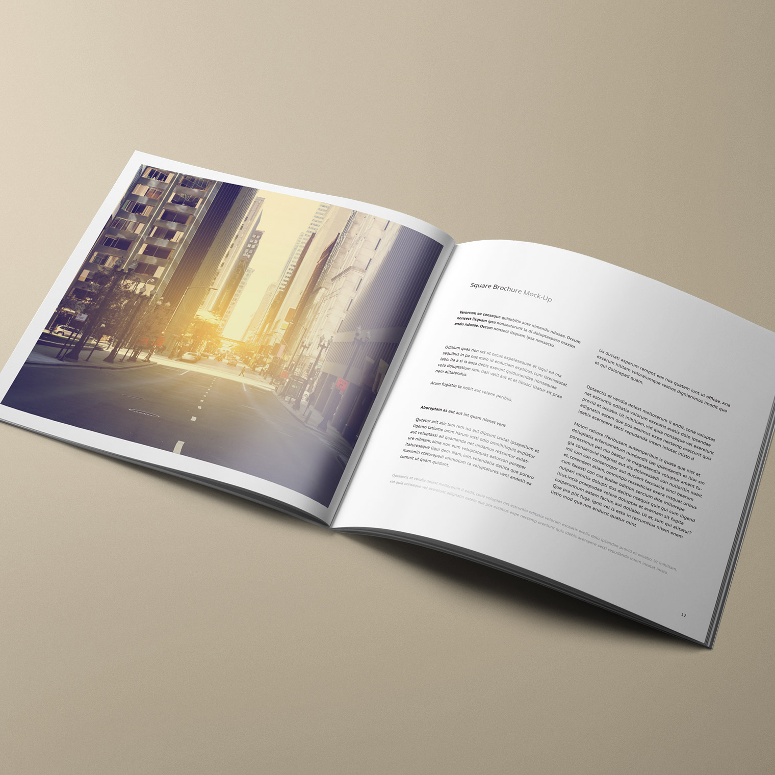 In Catalogue Nhanh, Lấy Ngay Trong Ngày