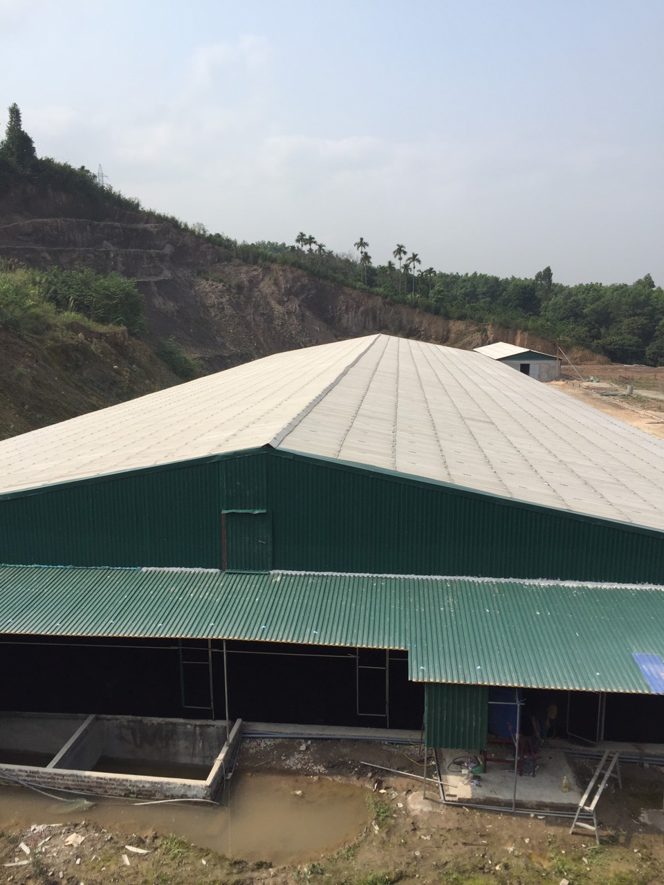 Anh Cường - Hòa Bình