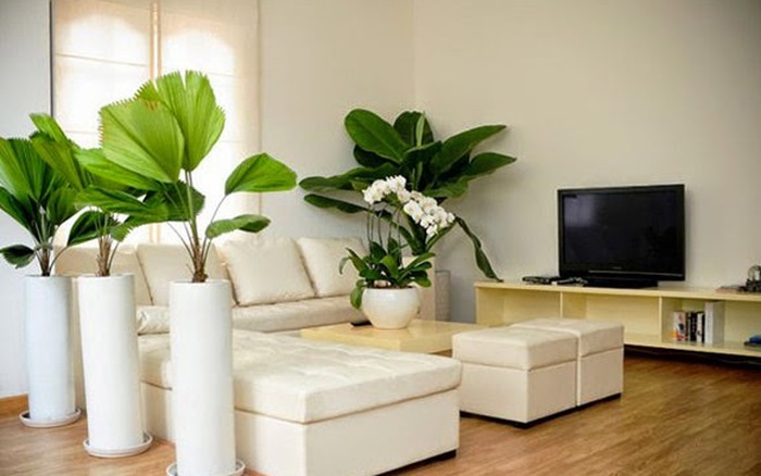 cấp khí tươi cấp khí tươi