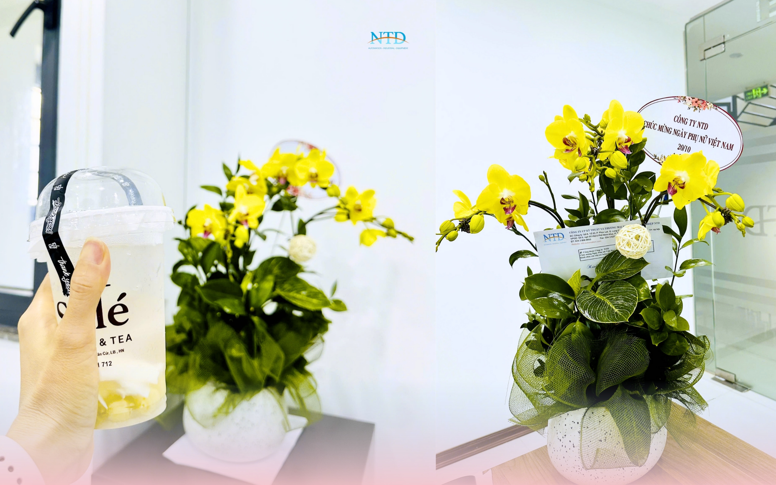 Những món quà tinh thần ý nghĩa dành tặng cho “một nửa thế giới”