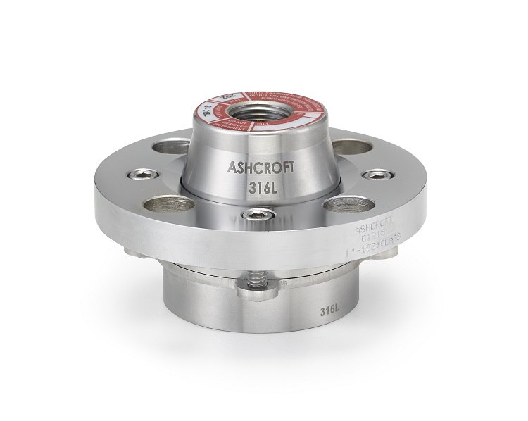 302-303 Flanged Diaphragm Seals