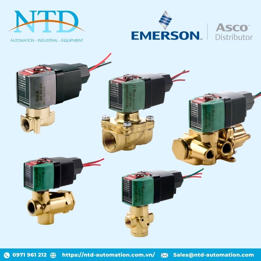 Cuộn coi điện từ EE Coil ASCO